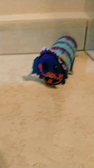 @PjpugWorld 💜💙