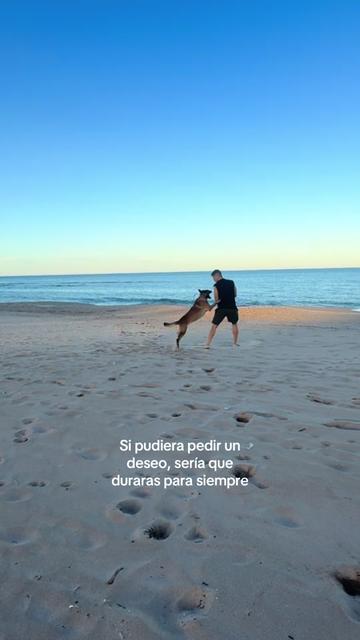 @Lobalobita