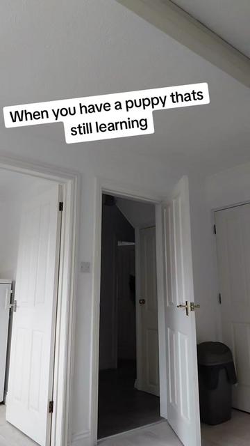 @Wₑₗₛₕ_Dₑᵥₒₙᵢₐₙ🏴
