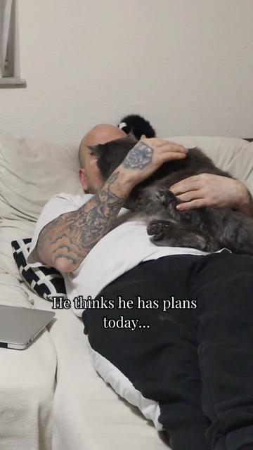 @Manny der Strizzikater