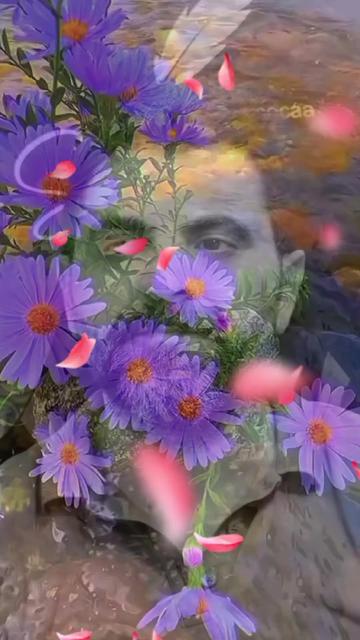 @👉🏻❤️🩹ASİKIZZZ💔AYŞE🥀👈🏻