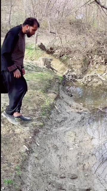 @Najibullah Noori