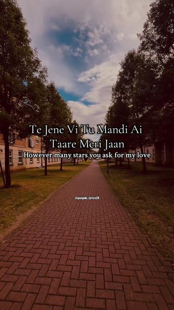 @punjabi_lyrics29
