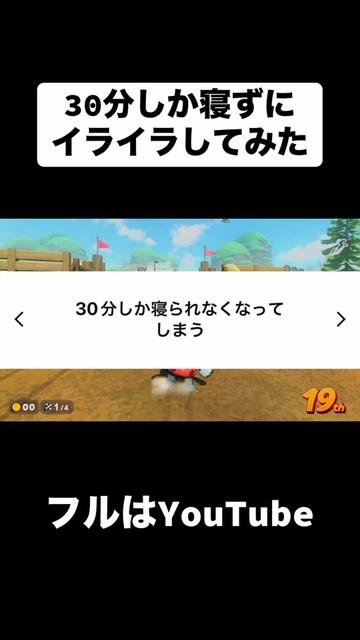 @合法的留年チワワ【切り抜き】