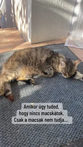 @Akt&iacute;van kuty&aacute;val