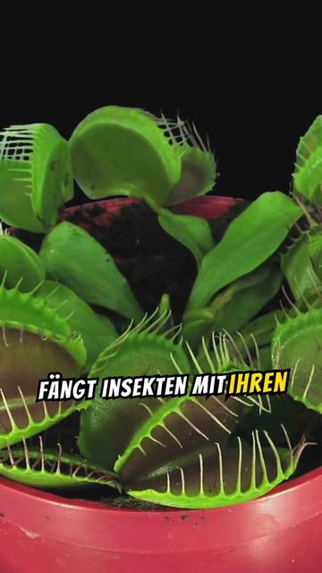 @Unglaubliche Fakten zu ...