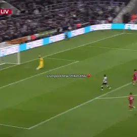 @lfcflo