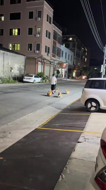 @🇲🇽MAYOREO QIHUO MÉXICO🇲🇽