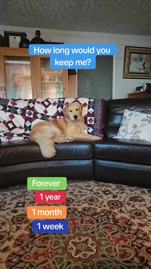 @🐶Griffin