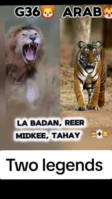 @🇬🇧🦁GEESI_ISAAQ🦁🇬🇧