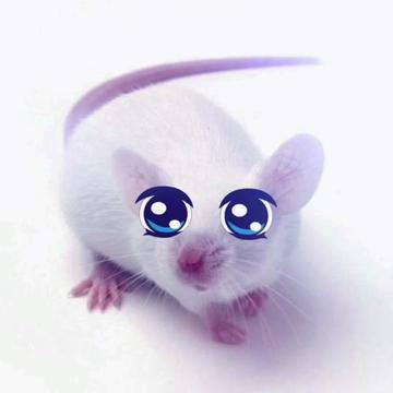 @Ash lullaby