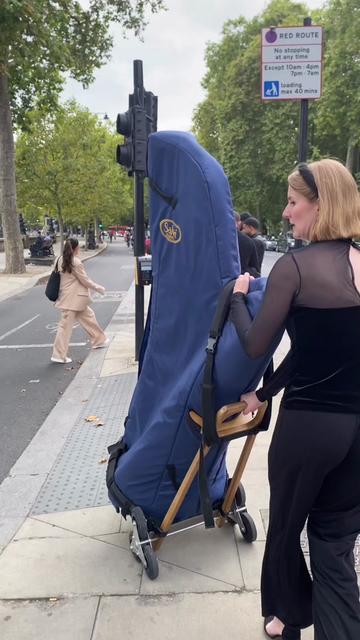 @bollywoodharpist