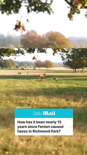 @Daily Mail UK