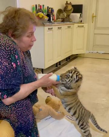 @Funny Animals World R