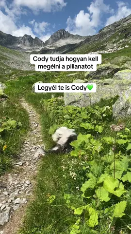 @Akt&iacute;van kuty&aacute;val
