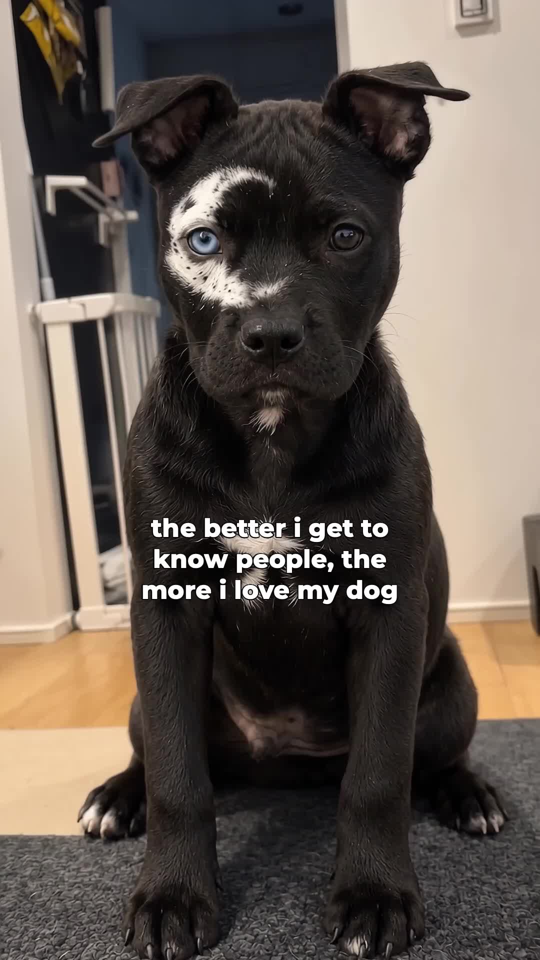 @moonfetches