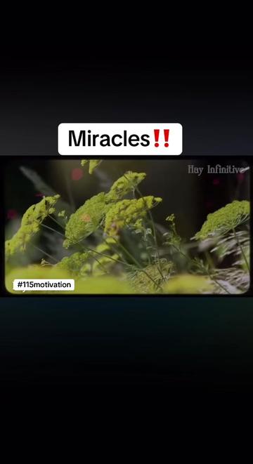 @mike115motivation