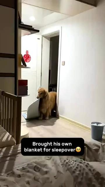 @Golden fam