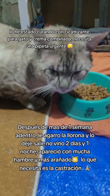 @𝕃𝕚𝕤𝕤 ℝ𝕖yes🇸🇻