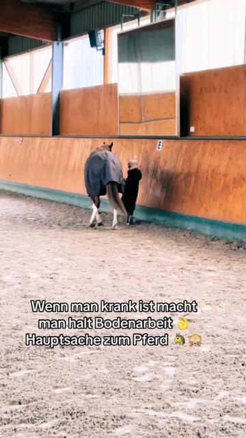 @Shanea & ihre Ponys &hearts;️🐴