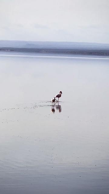 @Solo.Africa.Overland