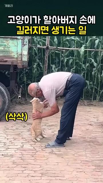 @개블리