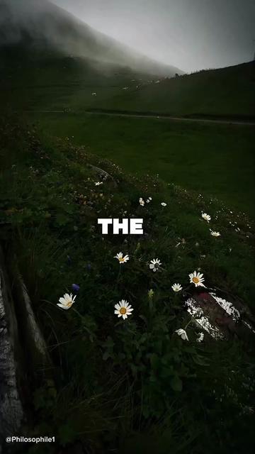@Philosophile