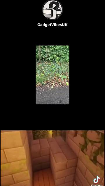 @GadgetVibesUK