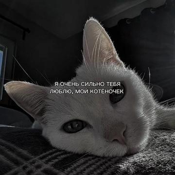 @ХХИКА