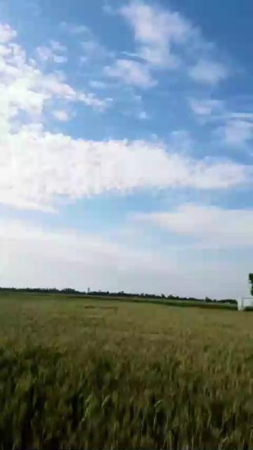 @pindo Bhar Mitra Da Dera