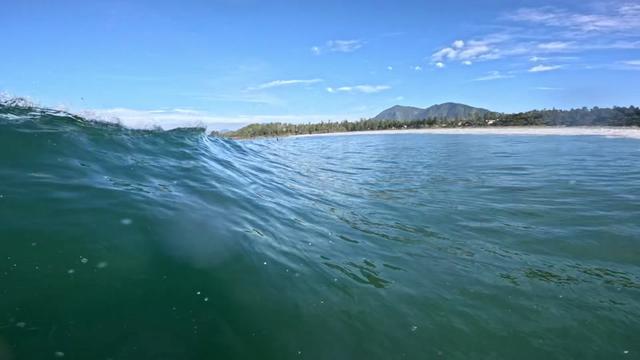 @oscarcc_surfs