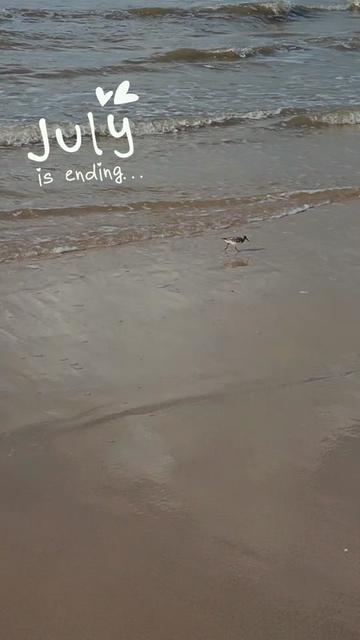 @Rachel