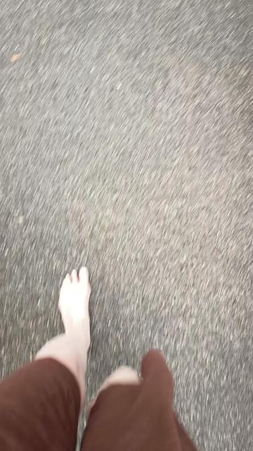 @S. T.