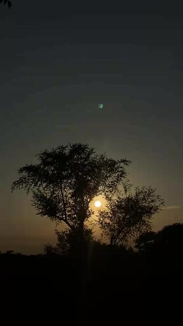 @bharatpasman597