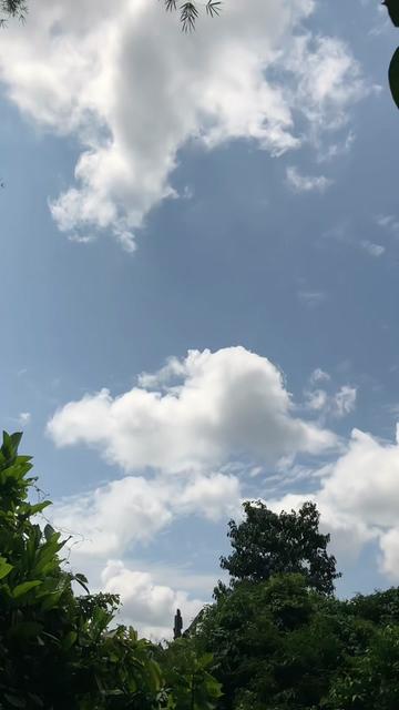 @Hayau tarus