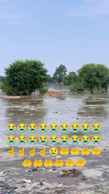 @Sabar Ali