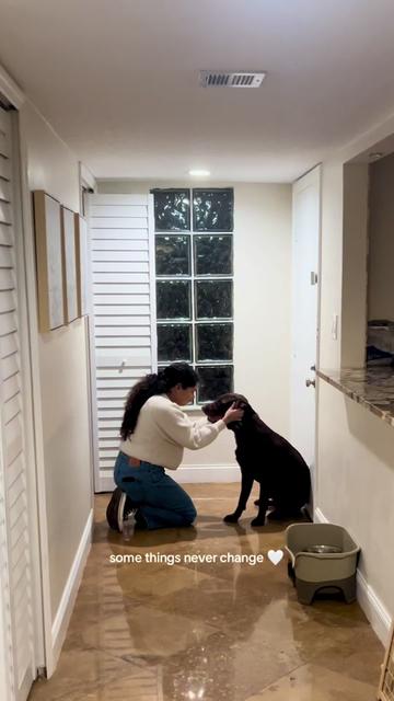 @Apollo the Choc Lab 🤎