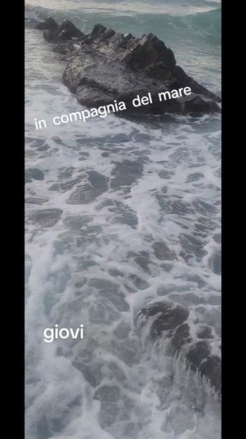 @giovi