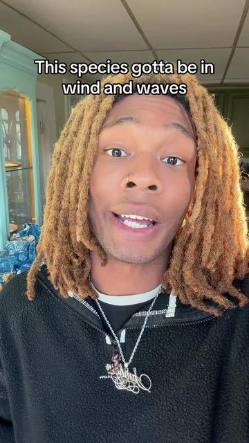 @Marlosburner🧛🏼♀️