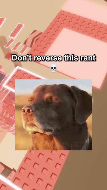 @pierants