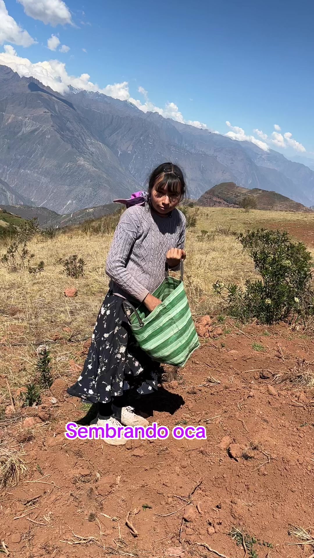 @🐈Rebeca y sus ocurrencias