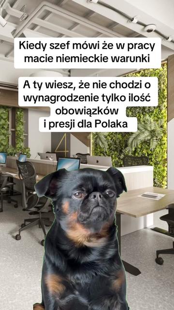 @mem08