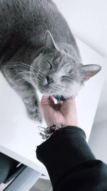 @Jinxy 💕💙 (Kady)