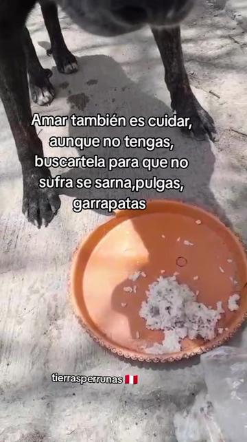 @Asociaci&oacute;n T.Perrunas🐕🐈🇵🇪