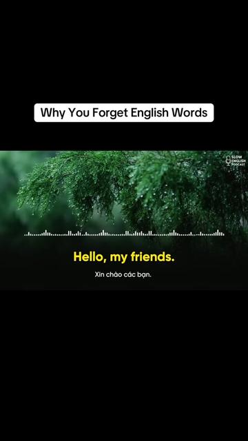 @Slow English Podcast