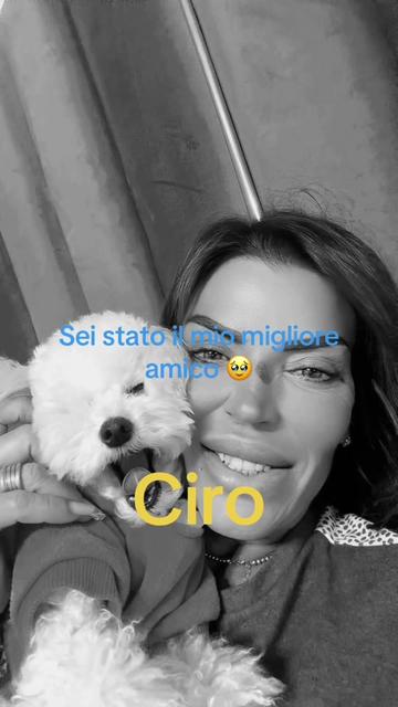@Impresa Ciotola💙💛