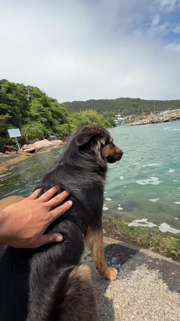 @NEGOH TUBY OFICIAL
