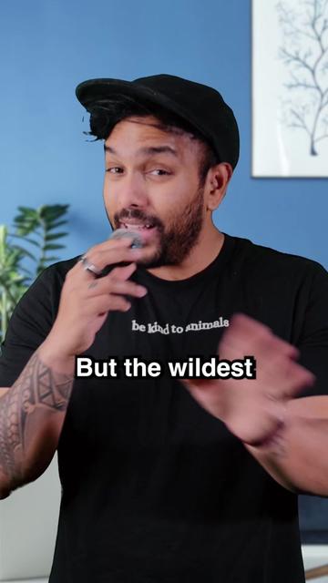 @curiousrondel