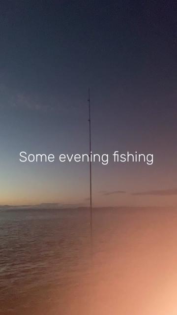 @alfie_fishes_