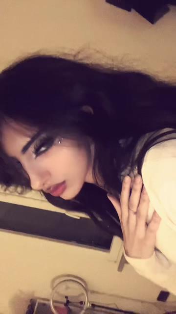 @🕷️